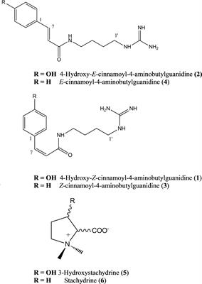 Novel Agmatine Derivatives in Maerua edulis With Bioactivity Against Callosobruchus maculatus, a Cosmopolitan Storage Insect Pest